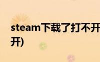 steam下载了打不开游戏(steam下载了打不开)