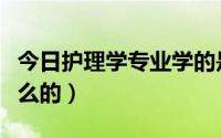 今日护理学专业学的是什么（护理学专业学什么的）