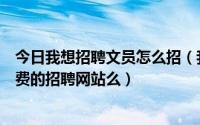 今日我想招聘文员怎么招（我公司现在想招聘文员请问有免费的招聘网站么）