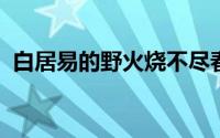 白居易的野火烧不尽春风吹又生是什么意思