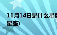 11月14日是什么星座女生(11月14日是什么星座)