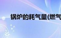 锅炉的耗气量(燃气锅炉每小时耗气量)