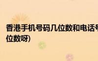 香港手机号码几位数和电话号码的区别(香港的手机号码是几位数呀)