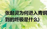 张起灵为何进入青铜门(张起灵在青铜门后看到的终极是什么)