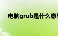 电脑grub是什么意思(grub是什么意思)