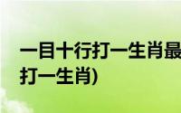 一目十行打一生肖最佳答案是什么(一目十行打一生肖)