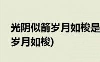 光阴似箭岁月如梭是什么修辞手法(光阴似箭岁月如梭)