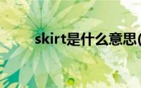 skirt是什么意思(shirt是什么意思)