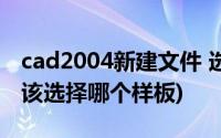 cad2004新建文件 选择样板(cad新建文件应该选择哪个样板)