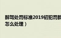 醉驾处罚标准2019初犯罚款金额（醉驾处罚标准2019初犯怎么处理）