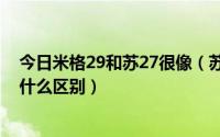 今日米格29和苏27很像（苏-27和米格-27前的苏和米格有什么区别）