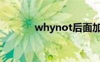 whynot后面加什么(whynot)