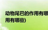 动物尾巴的作用有哪些一年级(动物尾巴的作用有哪些)