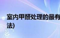 室内甲醛处理的最有效办法(室内甲醛去除方法)