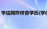 学信网咋样查学历(学信网怎么查询学历真假)