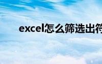 excel怎么筛选出符合条件的数据求和