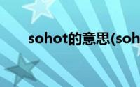 sohot的意思(sohothot是什么意思)