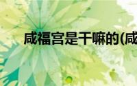 咸福宫是干嘛的(咸福宫为什么不开放)