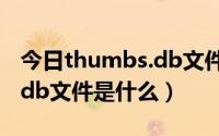 今日thumbs.db文件是什么意思（Thumbs.db文件是什么）