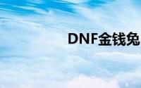 DNF金钱兔(dnf金钱兔)