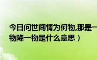 今日问世间情为何物,那是一物降一物（问世间情为何物,一物降一物是什么意思）