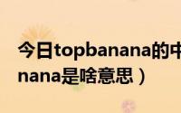 今日topbanana的中文意思是什么（top banana是啥意思）