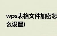 wps表格文件加密怎么设置(wps表格加密怎么设置)