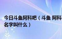 今日斗鱼阿科吧（斗鱼 阿科哥有没有在其他地方的号有的话名字叫什么）