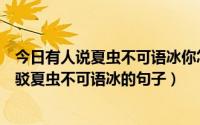 今日有人说夏虫不可语冰你怎么回答（有没有哪句是可以反驳夏虫不可语冰的句子）