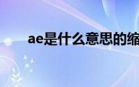 ae是什么意思的缩写(AE是什么意思)