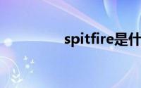 spitfire是什么意思(spit)