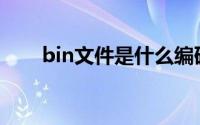 bin文件是什么编码(bin文件是什么)