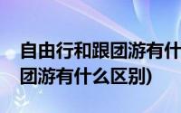 自由行和跟团游有什么区别英文(自由行和跟团游有什么区别)