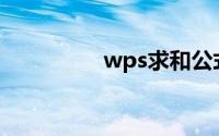 wps求和公式(wps求和)