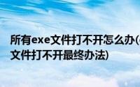 所有exe文件打不开怎么办(exe文件打不开的什么原因 exe文件打不开最终办法)