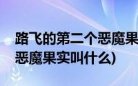 路飞的第二个恶魔果实是什么(路飞的第二个恶魔果实叫什么)