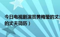 今日电视剧演员黄梅莹的丈夫简历是谁（电视剧演员黄梅莹的丈夫简历）