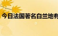 今日法国著名白兰地有哪些（白兰地有哪些）