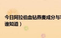 今日阿拉伯血钻燕麦成分与功效（阿拉伯血钻野燕麦管用吗谁知道）