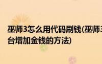 巫师3怎么用代码刷钱(巫师3怎样用CE控制台刷金钱CE控制台增加金钱的方法)