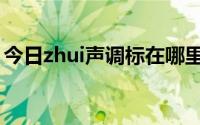 今日zhui声调标在哪里（zhui的声调怎么标）