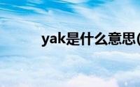 yak是什么意思(yoy是什么意思)