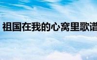 祖国在我的心窝里歌谱(祖国在我心窝里歌谱)