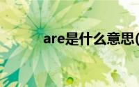 are是什么意思(the是什么意思)