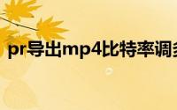 pr导出mp4比特率调多大合适(pr导出mp4)