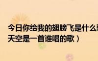 今日你给我的翅膀飞是什么歌（是你给我的力量让我飞上了天空是一首谁唱的歌）