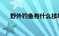 野外钓鱼有什么技巧(钓鱼有什么技巧)