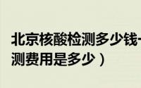 北京核酸检测多少钱一次（北京做一次核酸检测费用是多少）