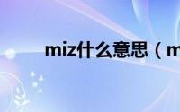 miz什么意思（miz什么意思中文）