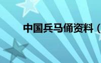 中国兵马俑资料（具体资料是什么）